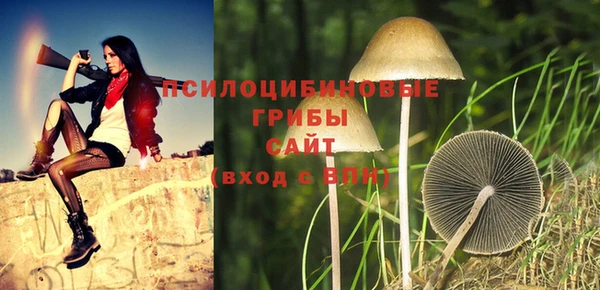 прущие крисы Заволжск