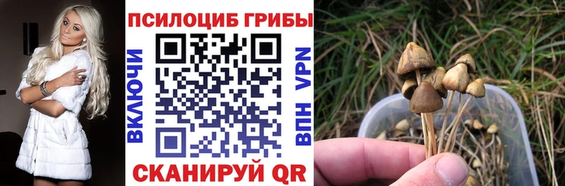 Псилоцибиновые грибы GOLDEN TEACHER  Купить закладки  Ядрин 